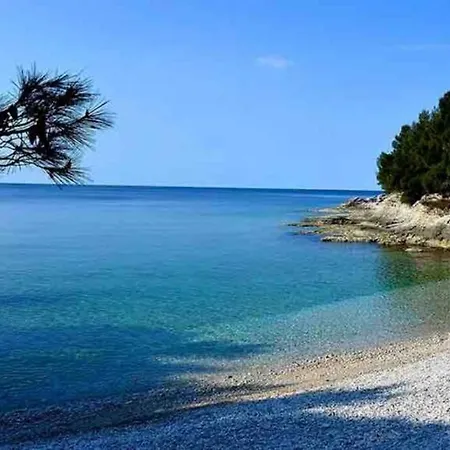 Damir 50 Meters From The Pula