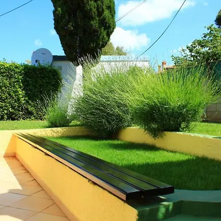 Damir 50 Meters From The דירה פולה