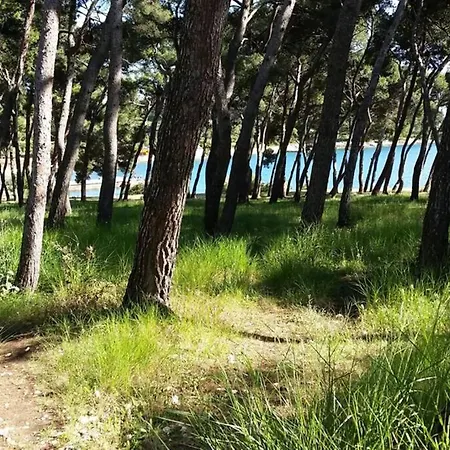 Damir 50 Meters From The Appartement