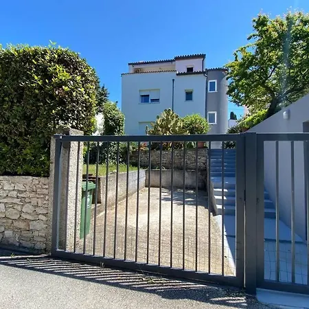 Damir 50 Meters From The