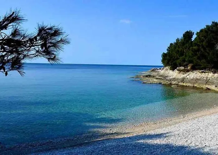 Damir 50 Meters From The Pola