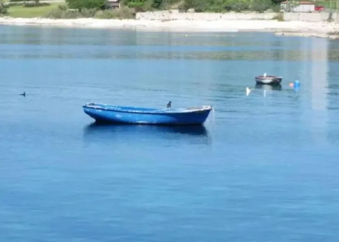 Appartamento Damir 50 Meters From The Pola