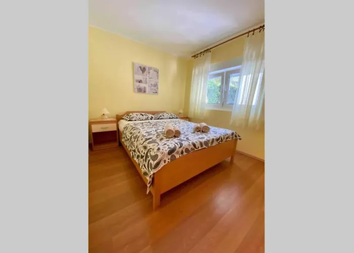 Damir 50 Meters From The Appartement Pula