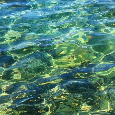 Damir 50 Meters From The Pula