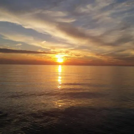 Damir 50 Meters From The Pula