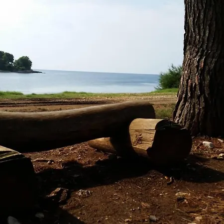 Damir 50 Meters From The Apartament Pula