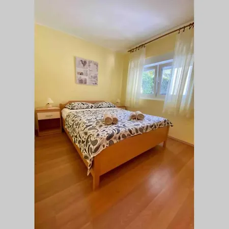 Damir 50 Meters From The Apartament Pula