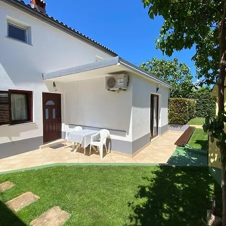 Damir 50 Meters From The Apartment *