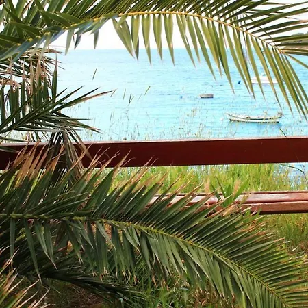 Apartment Damir 50 Meters From The *