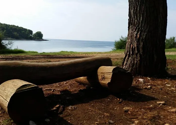 Damir 50 Meters From The Daire Pula