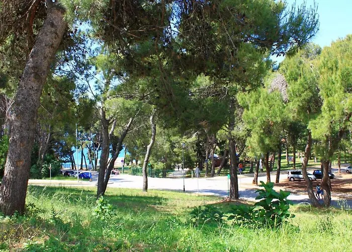 Apartment Damir 50 Meters From The *
