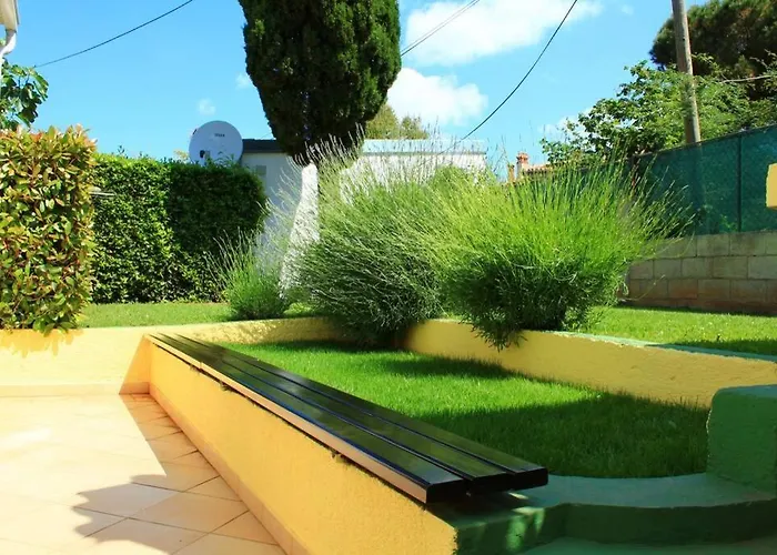 Damir 50 Meters From The Apartment Pula