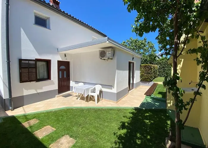 Damir 50 Meters From The Daire *