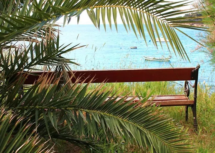 Daire Damir 50 Meters From The *