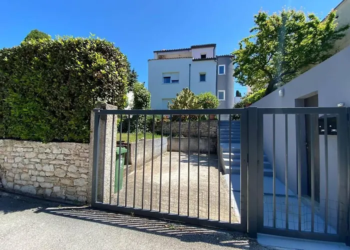 Damir 50 Meters From The