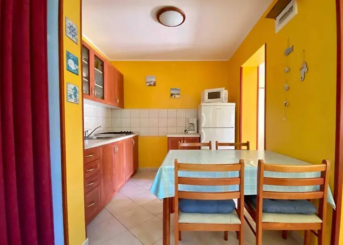 Damir 50 Meters From The Daire *