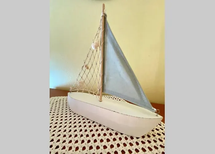 Damir 50 Meters From The Daire *