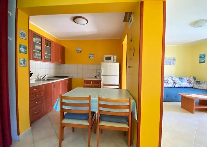 Daire Damir 50 Meters From The Pula