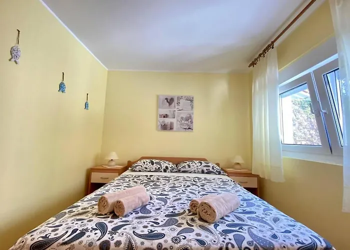 Damir 50 Meters From The Daire Pula