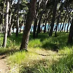 Damir 50 Meters From The Lejlighed