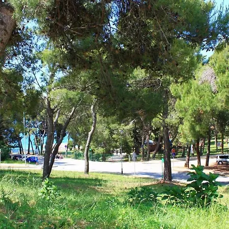 Lejlighed Damir 50 Meters From The *